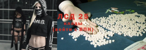 спиды Майский