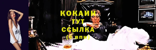 спиды Майский