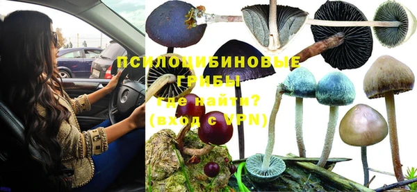 хмурый Магадан