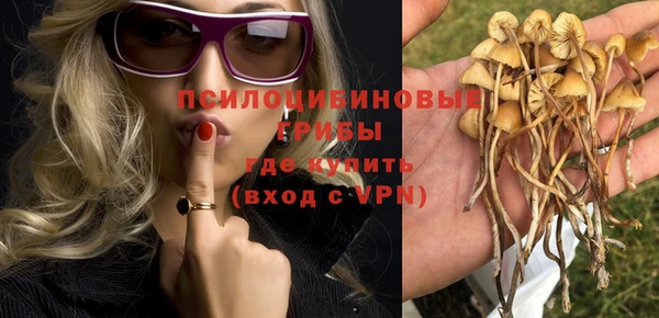 спиды Майский