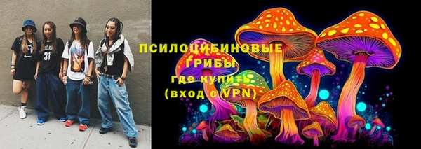 спиды Майский