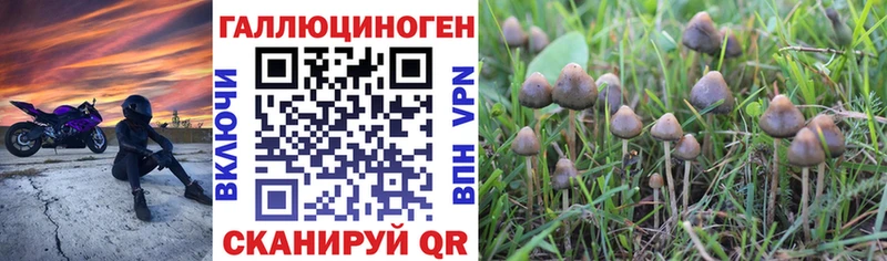 Псилоцибиновые грибы Cubensis где купить Екатеринбург